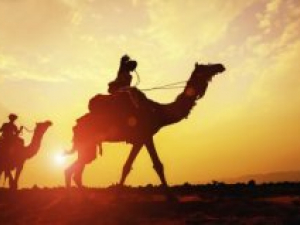 The Mystery of the Bible’s Phantom Camels