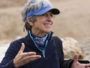 Carol Meyers presented with 2014 P. E. Macalister Field Archaeology Award